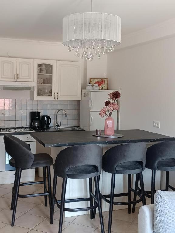 Motovunska 39A Apartment Porec Luaran gambar